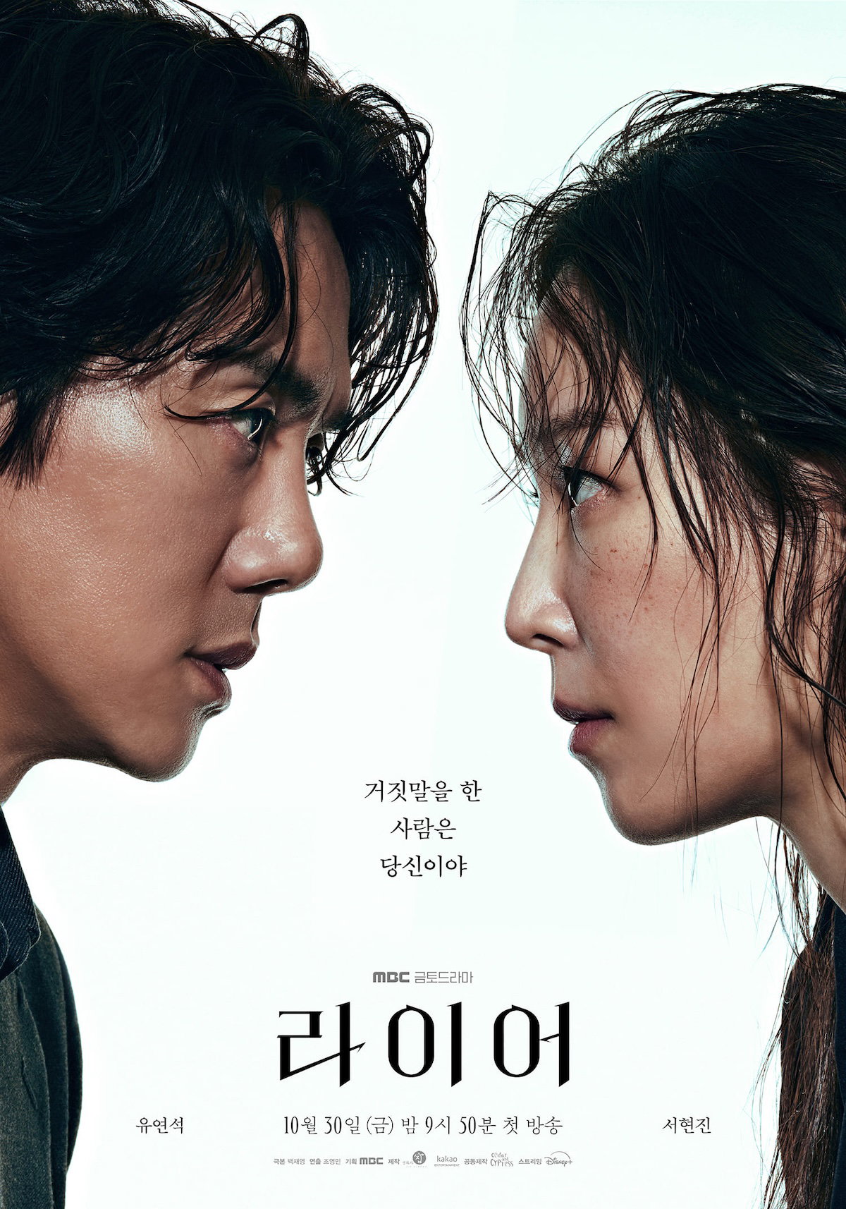 Poster The Perfect Lie